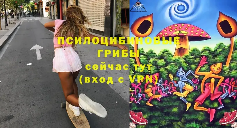 omg ТОР  Нюрба  Псилоцибиновые грибы Cubensis 